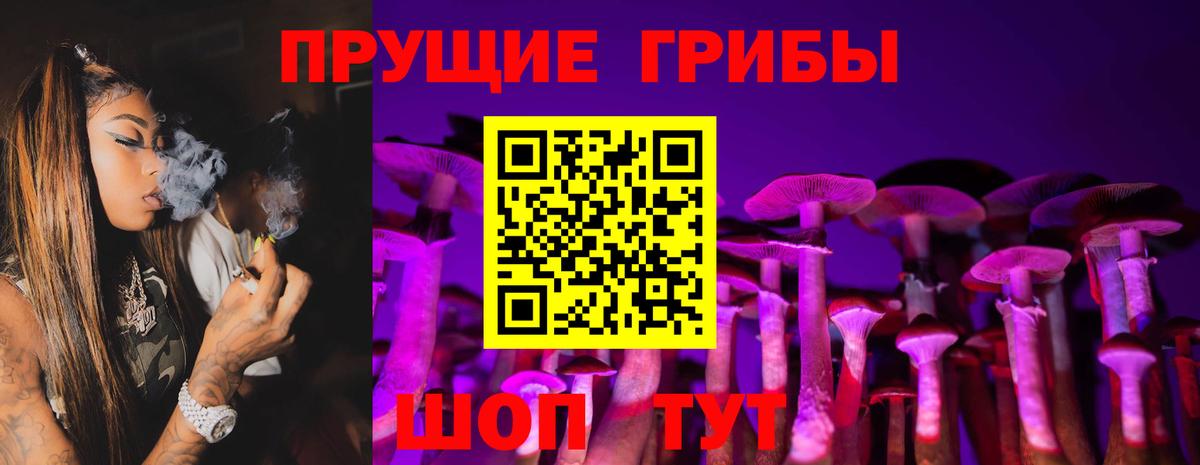 Псилоцибиновые грибы Magic Shrooms  Вход с VPN  Галлюциногенные грибы Psilocybine cubensis  Буйнакск 